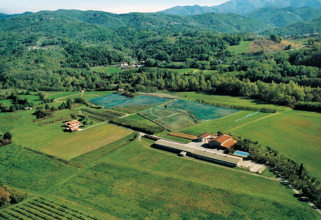 Agriturismo La Praduscella 菲维扎诺 外观 照片