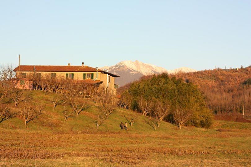 Agriturismo La Praduscella 菲维扎诺 外观 照片
