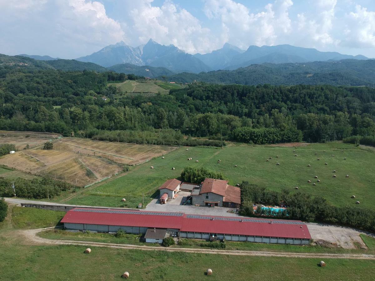 Agriturismo La Praduscella 菲维扎诺 外观 照片